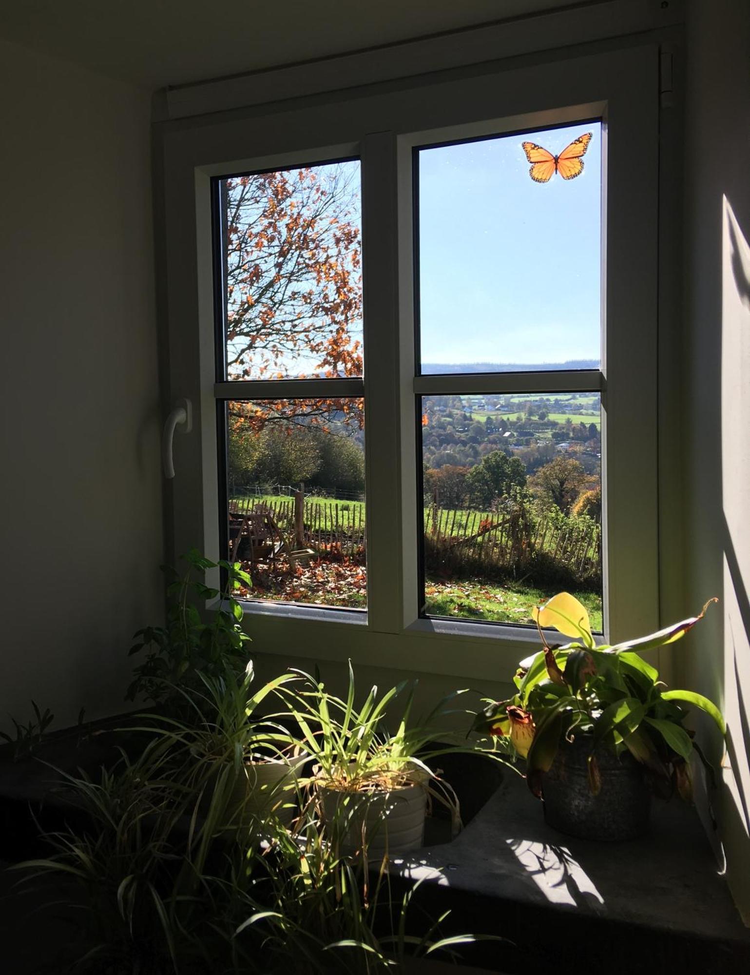 La Maison De Julienne - Ligneuville Malmedy Exteriör bild